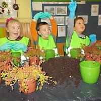 DZIECIAKI SADZENIAKI