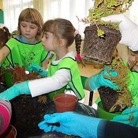 DZIECIAKI SADZENIAKI