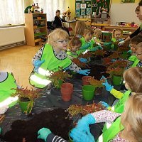 DZIECIAKI SADZENIAKI