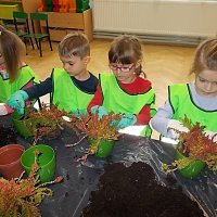 DZIECIAKI SADZENIAKI