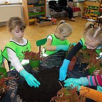 DZIECIAKI SADZENIAKI