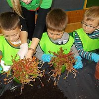 DZIECIAKI SADZENIAKI