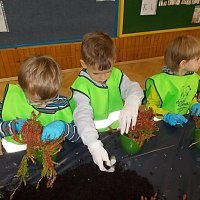 DZIECIAKI SADZENIAKI