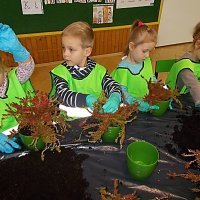 DZIECIAKI SADZENIAKI