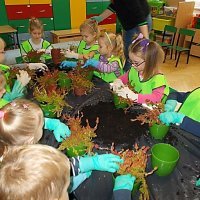 DZIECIAKI SADZENIAKI