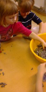 Jak „Smerfy” dinozaura robiły?