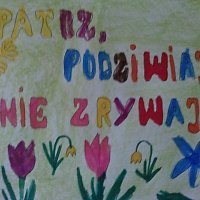 Kwitną  kwiaty i drzewa