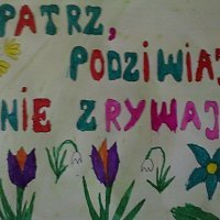 Kwitną  kwiaty i drzewa