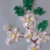 Kwitną  kwiaty i drzewa