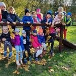 Liście, liście, liście...