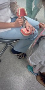 Motylki i Kotki w gabinecie stomatologicznym