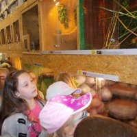 „Zielone zajęcia” w sklepie „Majster”.