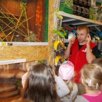 „Zielone zajęcia” w sklepie „Majster”.