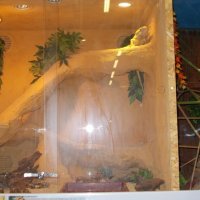 „Zielone zajęcia” w sklepie „Majster”.