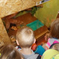 „Zielone zajęcia” w sklepie „Majster”.