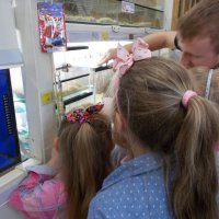 „Zielone zajęcia” w sklepie „Majster”.