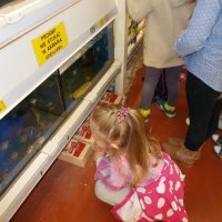 „Zielone zajęcia” w sklepie „Majster”.