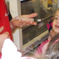 „Zielone zajęcia” w sklepie „Majster”