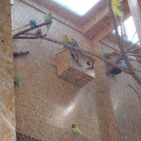 „Zielone zajęcia” w sklepie „Majster”.