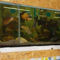 „Zielone zajęcia” w sklepie „Majster”.