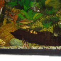 „Zielone zajęcia” w sklepie „Majster”