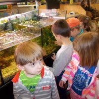 „Zielone zajęcia” w sklepie „Majster”.