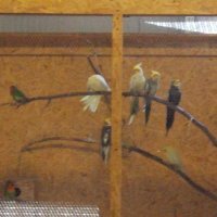 „Zielone zajęcia” w sklepie „Majster”.