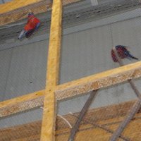 „Zielone zajęcia” w sklepie „Majster”.