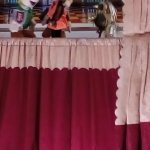 Baśń o złotym ptaku