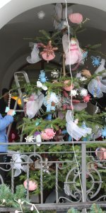 IMG_4496
