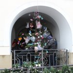 IMG_4504