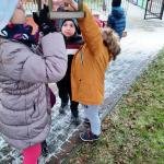 „Smerfy” rozpoczęły akcję „Przedszkolaki dokarmiają ptaki”.