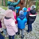 „Smerfy” rozpoczęły akcję „Przedszkolaki dokarmiają ptaki”.