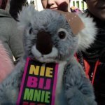 Historia Misia – Nie bij mnie  - Kochaj mnie