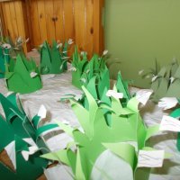 Naplotkowała sosna, że już zbliża się wiosna...