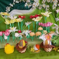 Naplotkowała sosna, że już zbliża się wiosna...