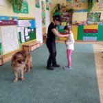 OTOZ Animals