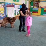 OTOZ Animals