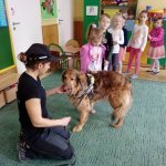 OTOZ Animals