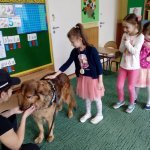 OTOZ Animals