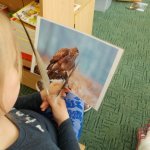 Kolejne spotkanie „Smerfów” z przyrodnikiem.