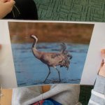 Kolejne spotkanie „Smerfów” z przyrodnikiem.