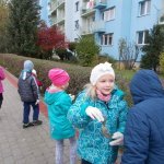 Sprzatanie swiata 2016