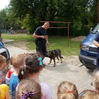Wiemy, jak pracują policjanci.