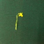 Wiosno, wiosno, ach to Ty!